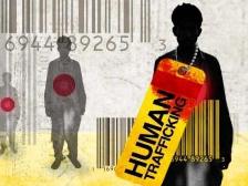 truth verification immigration Florida
